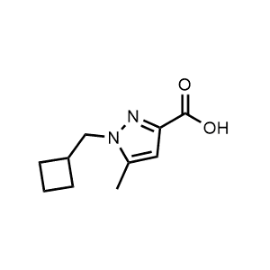 1-(Cyclobutylmethyl)-5-methyl-1H-pyrazole-3-carboxylic acid|CS-0447703