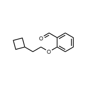 2-(2-Cyclobutylethoxy)benzaldehyde|CS-0448093