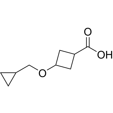3-(Cyclopropylmethoxy)cyclobutane-1-carboxylic acid|CS-0448393