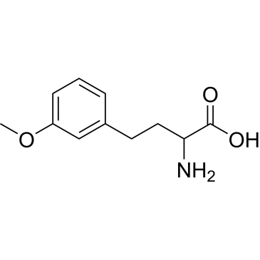 2-Amino-4-(3-methoxyphenyl)butanoic acid|CS-0449669