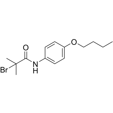 2-Bromo-N-(4-butoxyphenyl)-2-methylpropanamide|CS-0450002