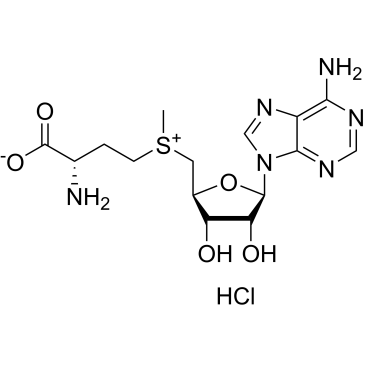 S-(5'-Adenosyl)-L-methionine chloride|CS-0450063