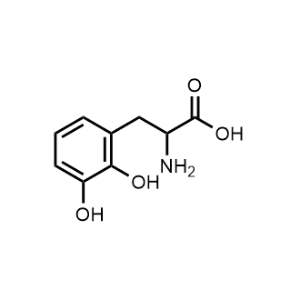 2-Amino-3-(2,3-dihydroxyphenyl)propanoic acid|CS-0450464