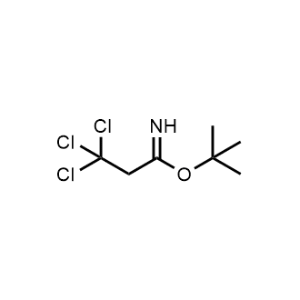 Tert-butyl 3,3,3-trichloropropanimidate|CS-0451513