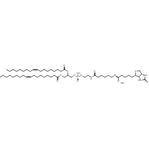 18:1 Biotinyl Cap PE|CS-0451982