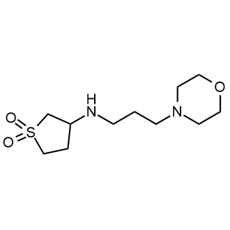 3-((3-Morpholinopropyl)amino)tetrahydrothiophene 1,1-dioxide|CS-0452623