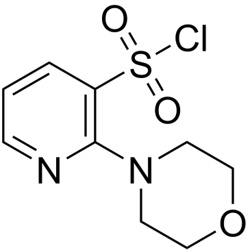 2-Morpholinopyridine-3-sulfonyl chloride|CS-0452684