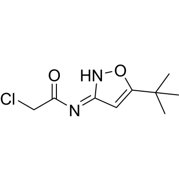 N-(5-(tert-butyl)isoxazol-3(2H)-ylidene)-2-chloroacetamide|CS-0453591