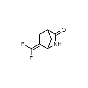 6-(Difluoromethylene)-2-azabicyclo[2.2.1]Heptan-3-one|CS-0454626