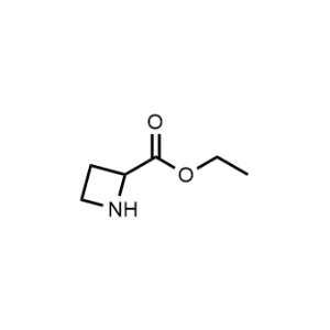 Ethyl azetidine-2-carboxylate|CS-0455658