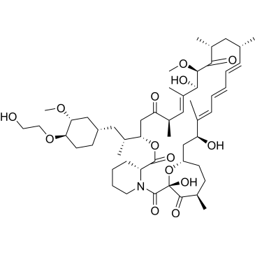 Everolimus Related Compound 1 Everolimus Impurity|CS-0459874