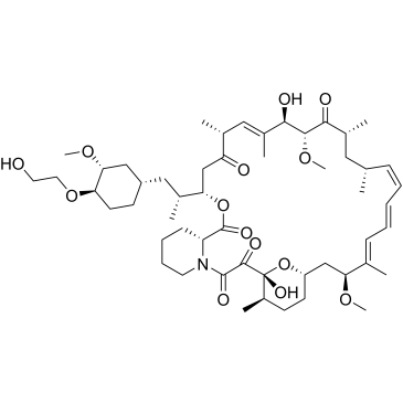 Everolimus Impurity 2 Everolimus Impurity|CS-0459875