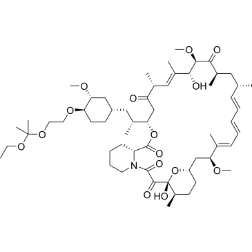 Everolimus Related Compound 6 Everolimus Impurity|CS-0459879