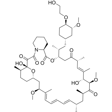 Everolimus Everolimus|CS-0459965