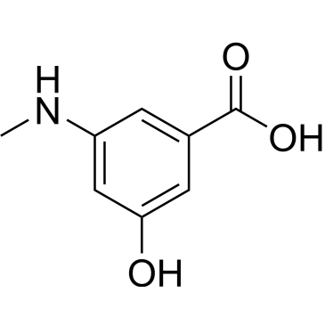 3-Hydroxy-5-(methylamino)benzoic acid|CS-0461152