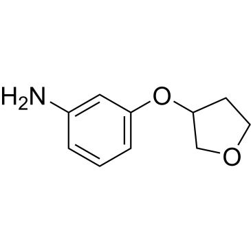 3-((Tetrahydrofuran-3-yl)oxy)aniline|CS-0462015