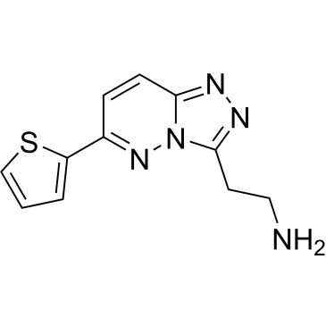 2-(6-(Thiophen-2-yl)-[1,2,4]triazolo[4,3-b]pyridazin-3-yl)ethan-1-amine|CS-0462828