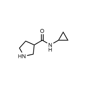 N-cyclopropylpyrrolidine-3-carboxamide|CS-0462850