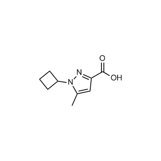 1-Cyclobutyl-5-methyl-1H-pyrazole-3-carboxylic acid|CS-0463219