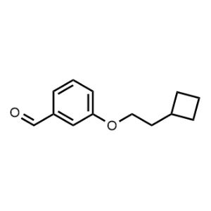 3-(2-Cyclobutylethoxy)benzaldehyde|CS-0464216