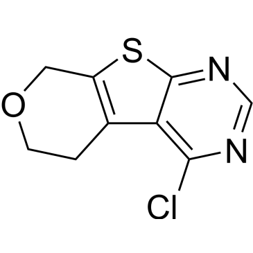 4-Chloro-5,8-dihydro-6H-pyrano[4',3':4,5]thieno[2,3-d]pyrimidine|CS-0464905