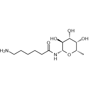 6-Amino-N-(6-deoxy-β-L-galactopyranosyl)hexanamide|CS-0465311