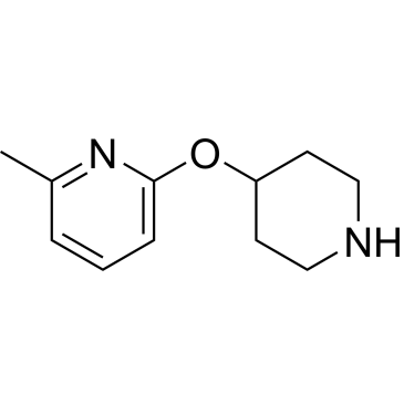 2-Methyl-6-(piperidin-4-yloxy)pyridine|CS-0467583
