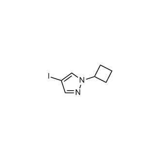 1-Cyclobutyl-4-iodo-1H-pyrazole|CS-0467821