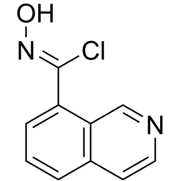 N-hydroxyisoquinoline-8-carbimidoyl chloride|CS-0469238