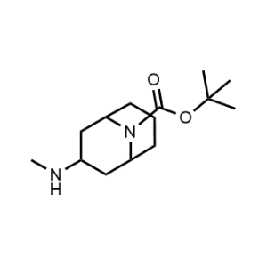Tert-butyl 3-(methylamino)-9-azabicyclo[3.3.1]Nonane-9-carboxylate|CS-0472617