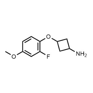 3-(2-Fluoro-4-methoxyphenoxy)cyclobutan-1-amine|CS-0472693