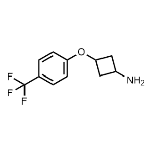 3-(4-(Trifluoromethyl)phenoxy)cyclobutan-1-amine|CS-0472697
