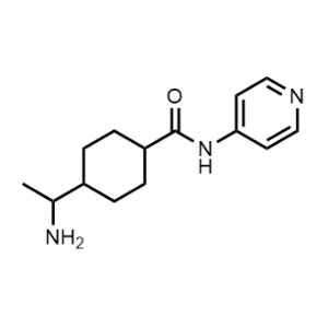 4-(1-Aminoethyl)-N-(pyridin-4-yl)cyclohexane-1-carboxamide|CS-0473244