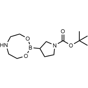 Tert-butyl 3-(1,3,6,2-dioxazaborocan-2-yl)pyrrolidine-1-carboxylate|CS-0473569