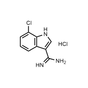 7-Chloro-1H-indole-3-carboximidamide hydrochloride|CS-0477019