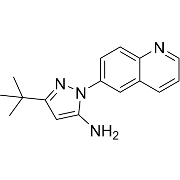 3-(Tert-butyl)-1-(quinolin-6-yl)-1H-pyrazol-5-amine|CS-0477330