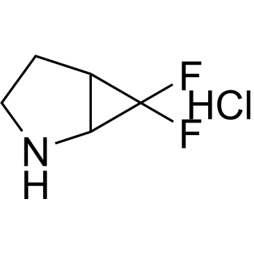 6,6-Difluoro-2-azabicyclo[3.1.0]Hexane hydrochloride|CS-0479514