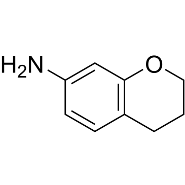 Chroman-7-amine|CS-0480109