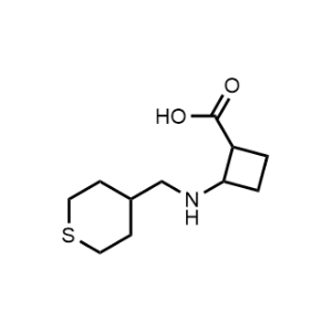 2-(((Tetrahydro-2H-thiopyran-4-yl)methyl)amino)cyclobutane-1-carboxylic acid|CS-0481188