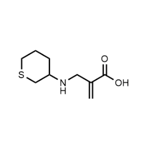 2-(((Tetrahydro-2H-thiopyran-3-yl)amino)methyl)acrylic acid|CS-0481194