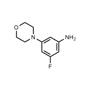 3-Fluoro-5-morpholinoaniline|CS-0481361