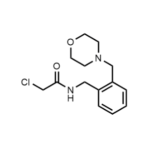2-Chloro-N-(2-(morpholinomethyl)benzyl)acetamide|CS-0481492