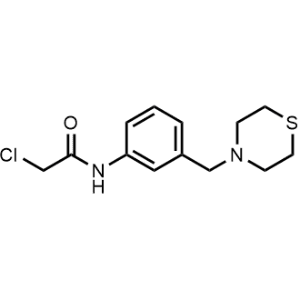2-Chloro-N-(3-(thiomorpholinomethyl)phenyl)acetamide|CS-0482204