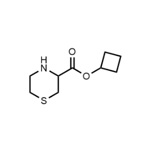 Cyclobutyl thiomorpholine-3-carboxylate|CS-0482411