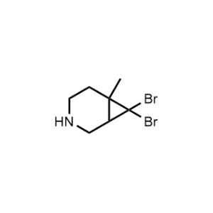 7,7-Dibromo-6-methyl-3-azabicyclo[4.1.0]Heptane|CS-0482676
