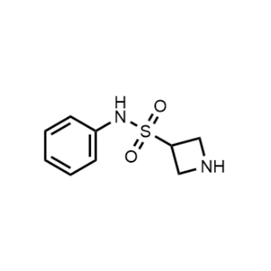 N-phenylazetidine-3-sulfonamide|CS-0484471