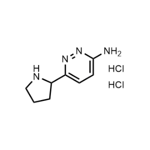 6-(Pyrrolidin-2-yl)pyridazin-3-amine dihydrochloride|CS-0484969