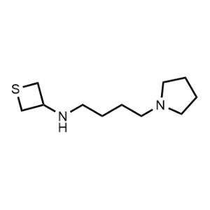 N-(4-(pyrrolidin-1-yl)butyl)thietan-3-amine|CS-0485159