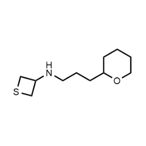 N-(3-(tetrahydro-2H-pyran-2-yl)propyl)thietan-3-amine|CS-0485205