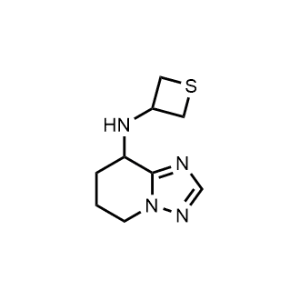 N-(thietan-3-yl)-5,6,7,8-tetrahydro-[1,2,4]triazolo[1,5-a]pyridin-8-amine|CS-0485207